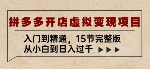 拼多多开店虚拟变现项目:入门到精通,从小白到日入过千(15节完整版)-资源云