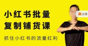 张宾·小红书批量复制铺货课,小红书0-1快速起号变现玩法,抓住小红书的流量红利(更新2023年3月)-资源云