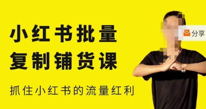 张宾·小红书批量复制铺货课，小红书0-1快速起号变现玩法，抓住小红书的流量红利（更新2023年3月）-资源云