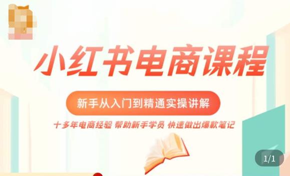 小红书电商新手入门到精通实操课，从入门到精通做爆款笔记，开店运营-资源云