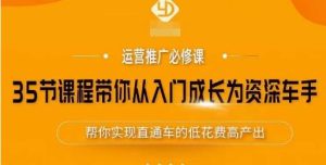 35节课程带你从入门成长为资深车手,让系统学习直通车成为可能,帮你实现直通车的低花费高产出-资源云