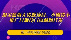 淘宝蓝海无货源项目,不囤货不推广只做冷门高利润代发,花一半时间赚10倍钱-资源云