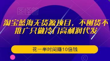 淘宝蓝海无货源项目，不囤货不推广只做冷门高利润代发，花一半时间赚10倍钱-资源云