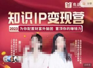 鹿盈盈-知识IP变现实操营，​普通人可复制的知识产品落地实操课，​带你打通知识IP变现底层逻辑-资源云