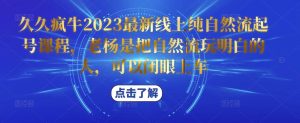 久久疯牛2023最新线上纯自然流起号课程,老杨是把自然流玩明白的人,可以闭眼上车-资源云