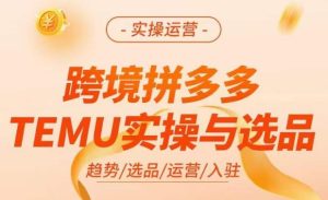 跨境拼多多TEMU实操与选品，​掌握平台运营方法技巧，选品避坑12条标准，爆款的底层思路等-资源云