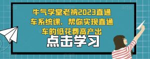 牛气学堂老衲2023直通车系统课，帮你实现直通车的低花费高产出-资源云