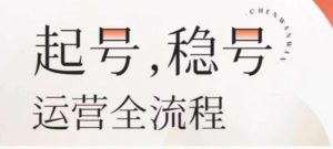 婉婉-起号稳号运营全流程,解决从小白到进阶所有运营知识,帮助解决账号所有运营难题-资源云