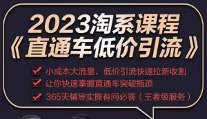 2023直通车低价引流玩法课程，小成本大流量，低价引流快速拉新收割，让你快速掌握直通车突破瓶颈-资源云