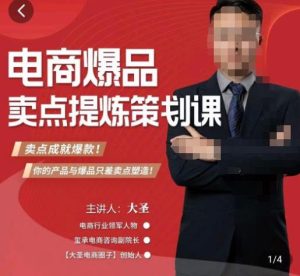 大圣·电商标品爆款卖点策划课,标品卖点成就爆款,可落地卖点提炼课-资源云