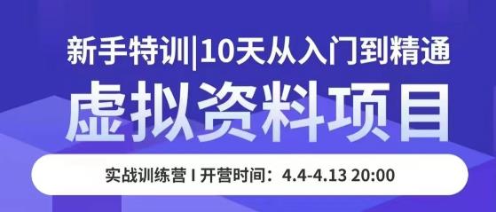 虚拟资料项目新手特训，10天从入门到精通，保姆级实操教学-资源云