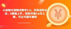 小说推文保姆式教学2.0，另类进阶玩法，0基础上手，轻松月撸1w无上限，可主可副可兼职-资源云