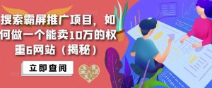 搜索霸屏推广项目,如何做一个能卖10万的权重6网站(揭秘)-资源云