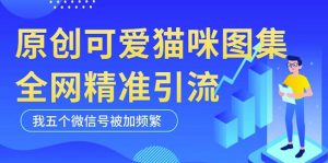 黑科技纯原创可爱猫咪图片,全网精准引流,实操5个VX号被加频繁-资源云