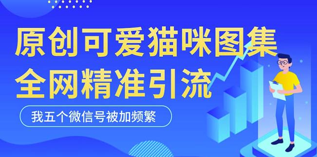 黑科技纯原创可爱猫咪图片，全网精准引流，实操5个VX号被加频繁-资源云