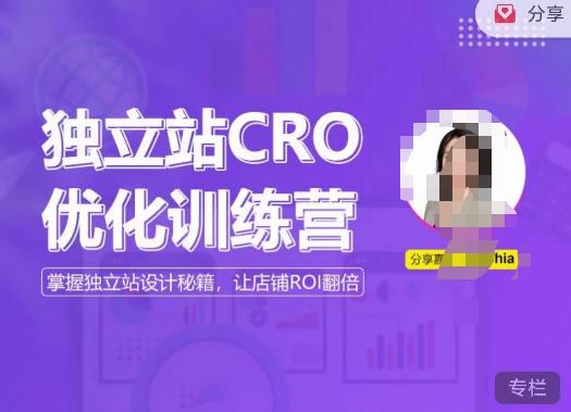 独立站CRO优化训练营，掌握独立站设计秘籍，打造高转化的独立站，让店铺ROI翻倍-资源云