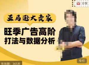 阿甘·亚马逊大卖家广告高阶打法与数据分析,走出传统广告误区;揭秘大卖惯用打法;数据驱动广告决策-资源云