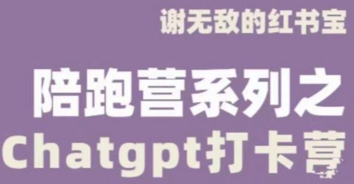 谢无敌ChatGPT打卡营，教你更好地使用ChatGPT来提高工作效率-资源云