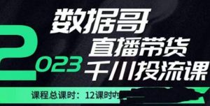数据哥2023直播电商巨量千川付费投流实操课,快速掌握直播带货运营投放策略-资源云