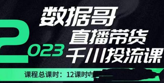 数据哥2023直播电商巨量千川付费投流实操课，快速掌握直播带货运营投放策略-资源云