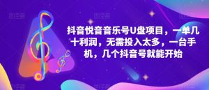 抖音音乐号U盘项目,一单几十利润,无需投入太多,一台手机,几个抖音号就能开始-资源云