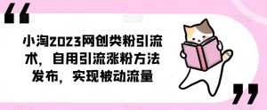 小淘2023网创类粉引流术,自用引流涨粉方法发布,实现被动流量-资源云