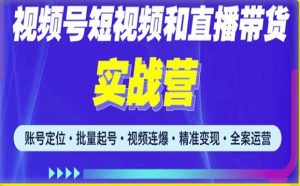 2023最新微信视频号引流和变现全套运营实战课程，小白也能玩转视频号短视频和直播运营-资源云