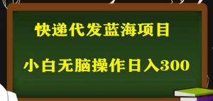 2023最新蓝海快递代发项目,小白零成本照抄也能日入300+-资源云