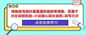 峰教练电商抖音直播投流起号课程：巨量千川全流程投放+小店随心推全流程+起号方式-资源云