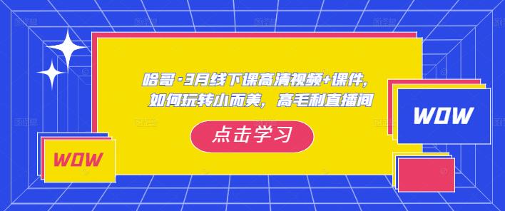 哈哥·3月线下实操课高清视频+课件，如何玩转小而美，高毛利直播间-资源云