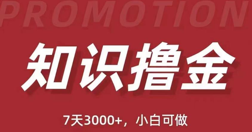 抖音知识撸金项目：简单粗暴日入1000+执行力强当天见收益(教程+资料)-资源云