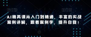 AI精英课从入门到精通,丰富的实战案例讲解,跟着案例学,提升自我!-资源云