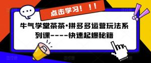 牛气学堂茶茶•拼多多运营玩法系列课—-快速起爆秘籍【更新】-资源云