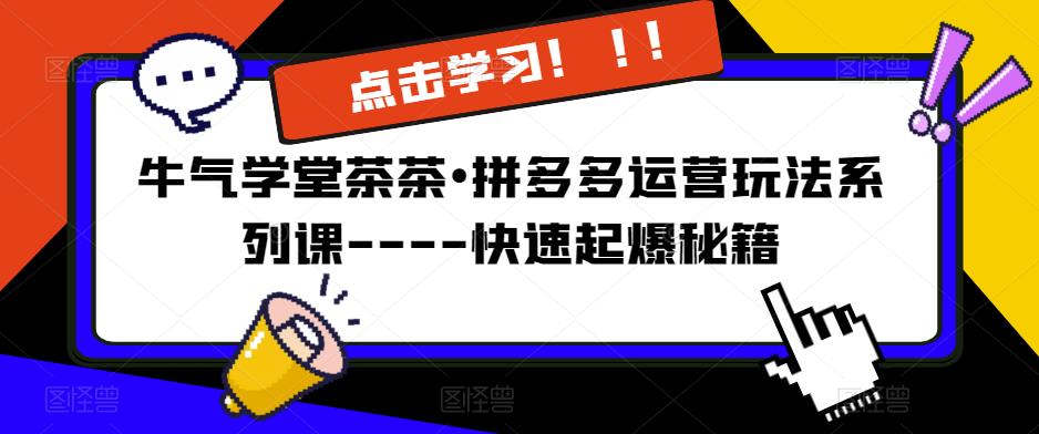 牛气学堂茶茶•拼多多运营玩法系列课—-快速起爆秘籍【更新】-资源云