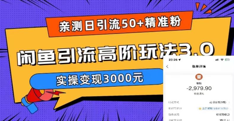 亲测日引50+精准粉，闲鱼引流高阶玩法3.0，实操变现3000元【揭秘】-资源云