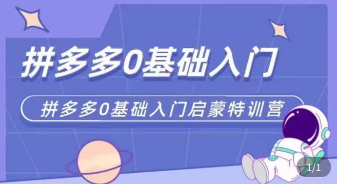 拼多多运营0-1实操特训营，拼多多0基础入门，从基础到进阶的可实操玩法-资源云