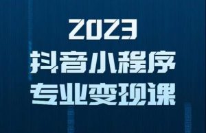 2023年抖音小程序变现保姆级教程，0粉丝新号，无需实名，3天起号，第1条视频就有收入-资源云