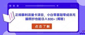 正规暴利流量卡项目,小白零基础零成本无脑照抄也能日入300+【揭秘】-资源云