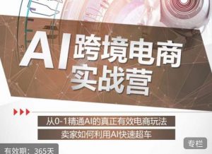 白龙老师·AI跨境电商实战营:从0-1精通Al的真正有效电商玩法,卖家如何利用Al快速超车-资源云