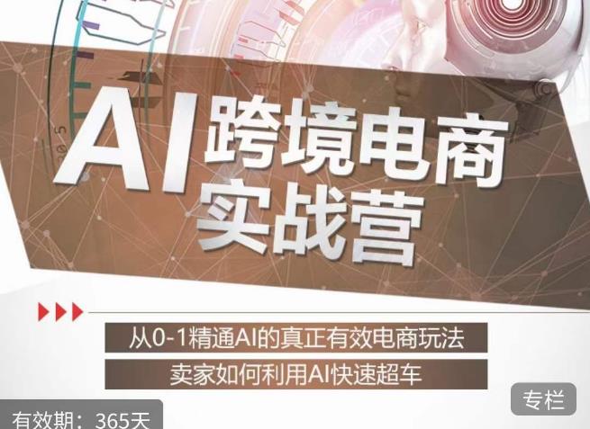 白龙老师·AI跨境电商实战营：从0-1精通Al的真正有效电商玩法，卖家如何利用Al快速超车-资源云