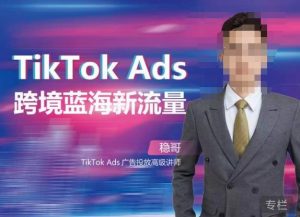 稳哥·如何投出高ROI的TikTok广告，开拓独立站卖家流量新蓝海-资源云