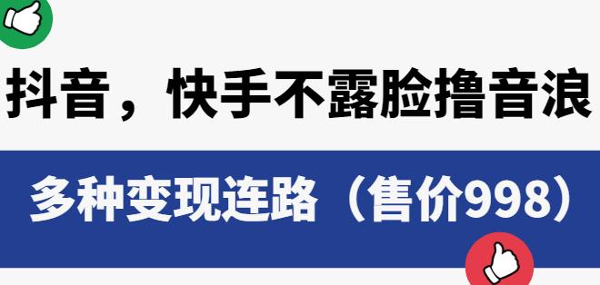 抖音快手不露脸撸音浪项目，多种变现连路（售价998）-资源云