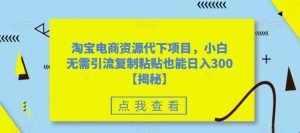淘宝电商资源代下项目,小白无需引流复制粘贴也能日入300+【揭秘】-资源云