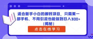 适合新手小白的搬砖项目,只需要一部手机、不用引流也能做到日入300+【揭秘】-资源云
