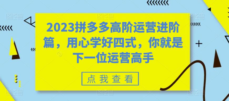 2023拼多多高阶运营进阶篇，用心学好四式，你就是下一位运营高手-资源云