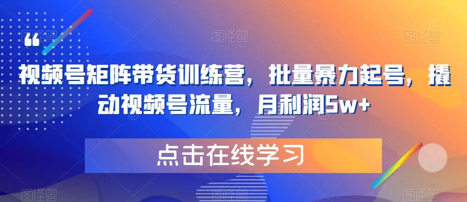 视频号矩阵带货训练营，批量暴力起号，撬动视频号流量，月利润5w+-资源云