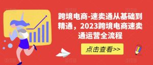 跨境电商-速卖通从基础到精通,2023跨境电商速卖通运营全流程-资源云