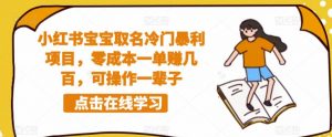 小红书宝宝取名冷门暴利项目,零成本一单赚几百,可操作一辈子-资源云
