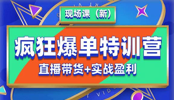 抖音短视频疯狂爆单特训营现场课（新）直播带货+实战案例-资源云