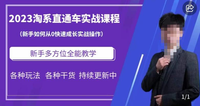 2023淘系直通车保姆式运营讲解，新手如何从0快速成长实战操作，新手多方位全能教学-资源云